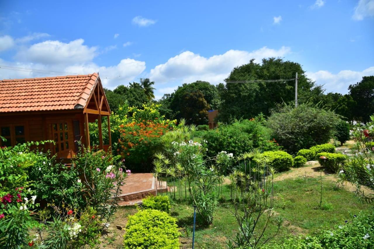 Leo Wodden Resort Hampi Exterior foto